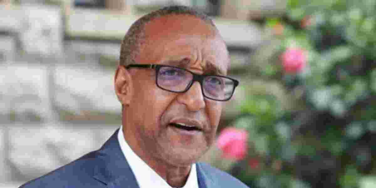 Former Foreign Affairs PS Slams JKIA, Calls it Stone Age Infrastructure