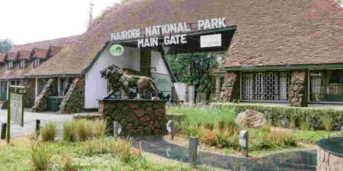 Kenya Govt Grants Free Entry to National Parks on Jamhuri Day