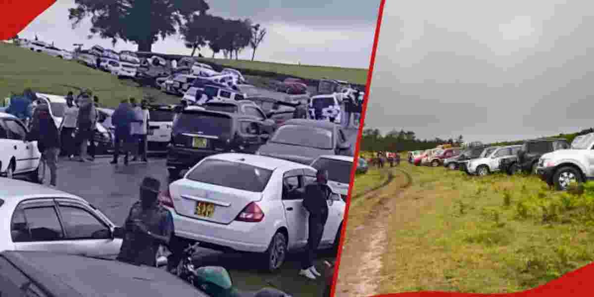 Government Cracks Down on Immoral Parties in Kiambu Tea Plantations