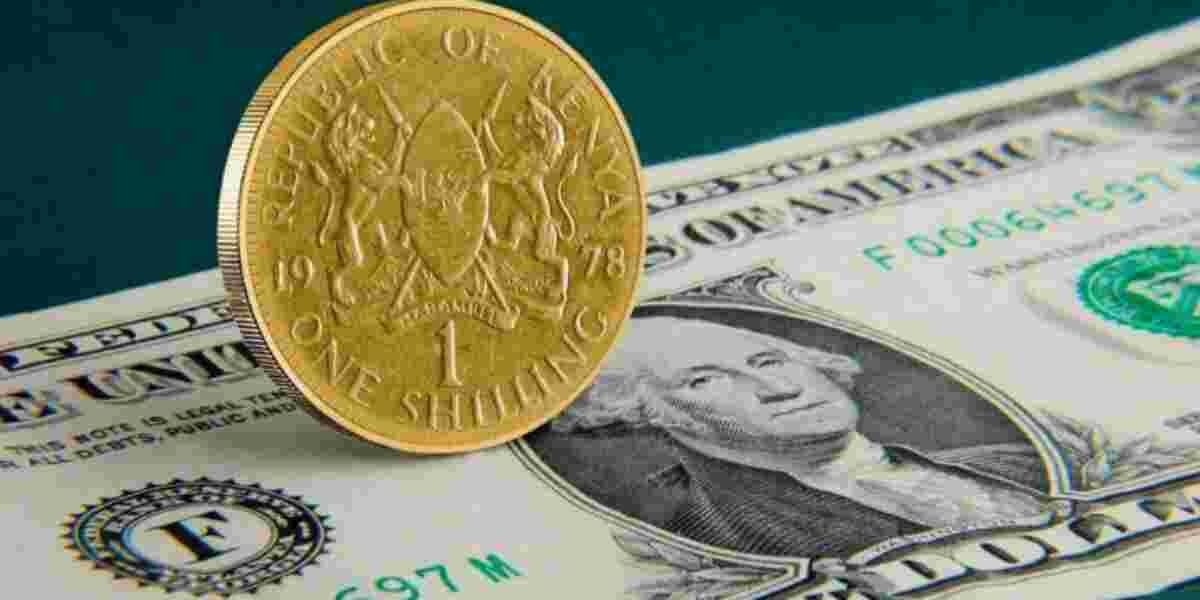Kenyan Shilling Surges Against Dollar, Signals Strong Investor Sentiment