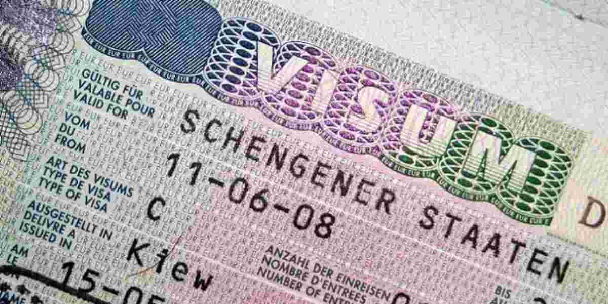 Countries Reduce Visa Wait Times While Others Suffer Backlogs