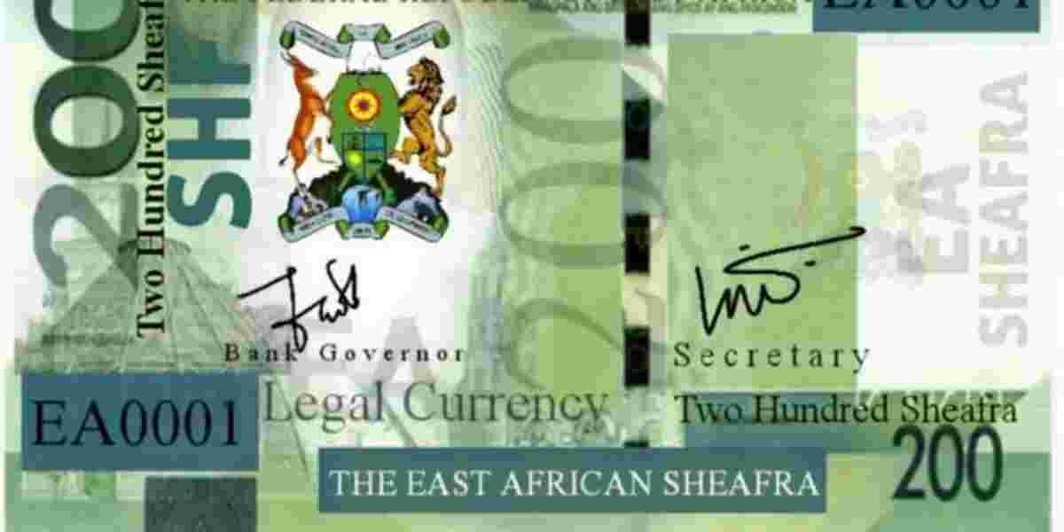 Kenyans React to the Launch of the East African Sheafra Currency 