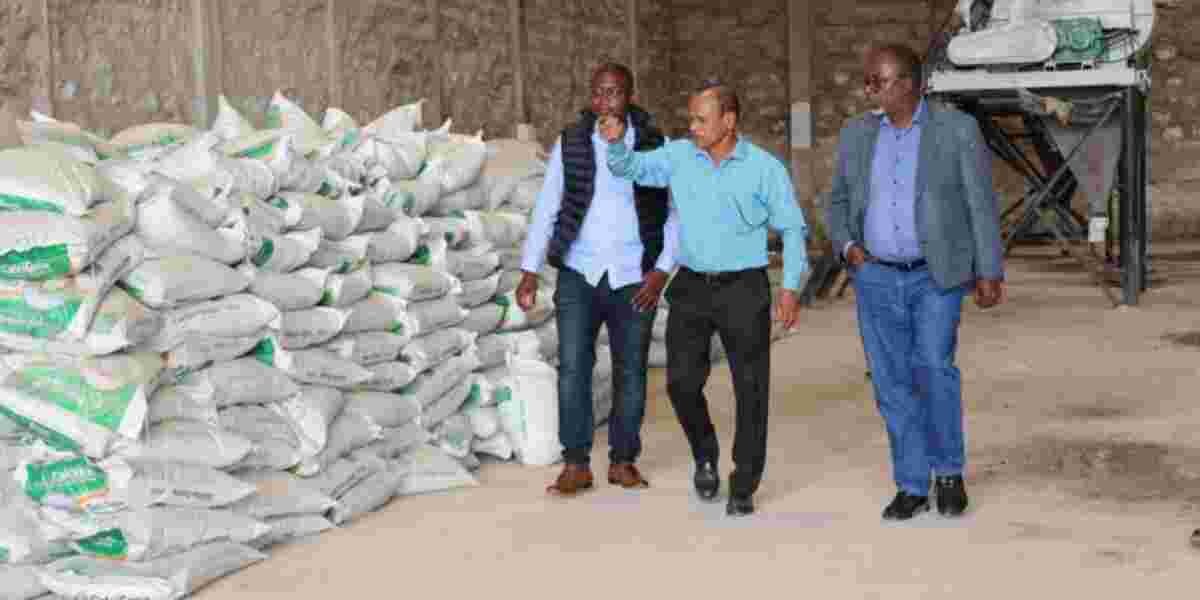 Government Cracks Down on Substandard Fertilizers from KEL Chemicals