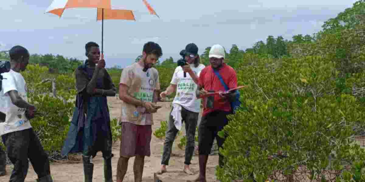 Australian Environmentalist Plants 30,279 Mangrove Trees in Kilifi for Guinness World Record