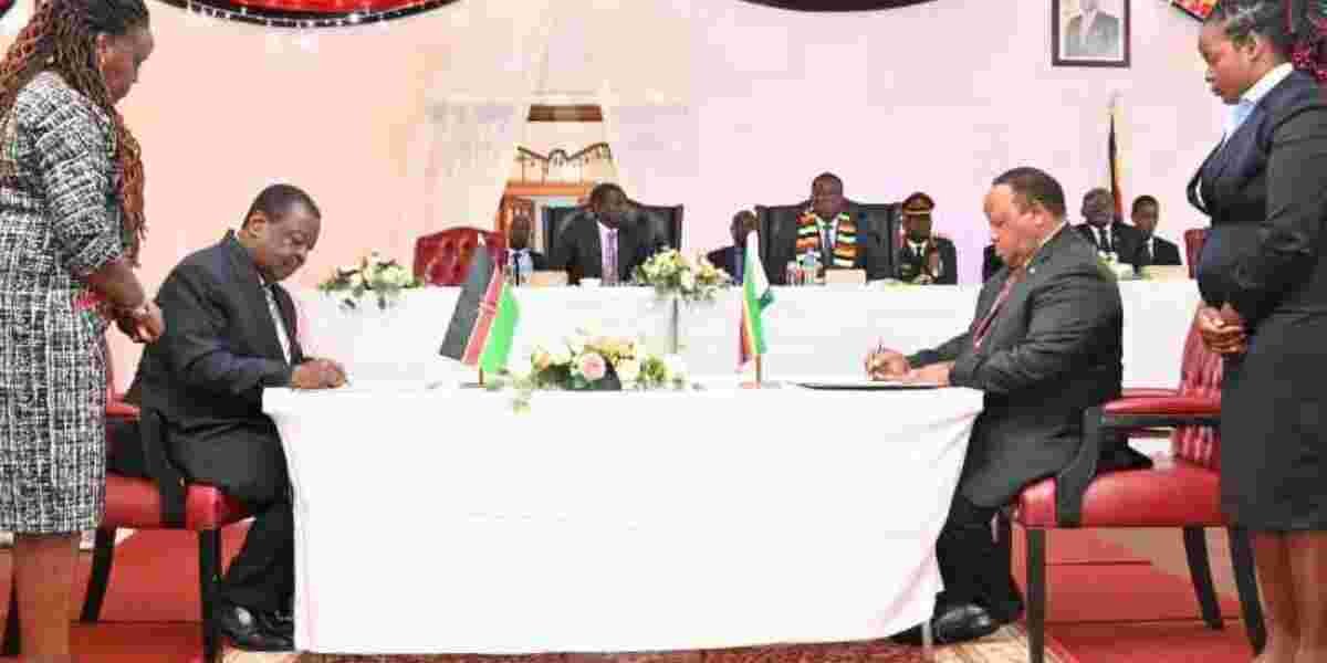 Zimbabwe Endorses Raila Odinga for Top AU Post