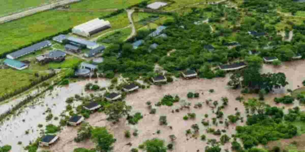 Devastating Floods Ravage Maasai Mara Game Reserve in Kenya