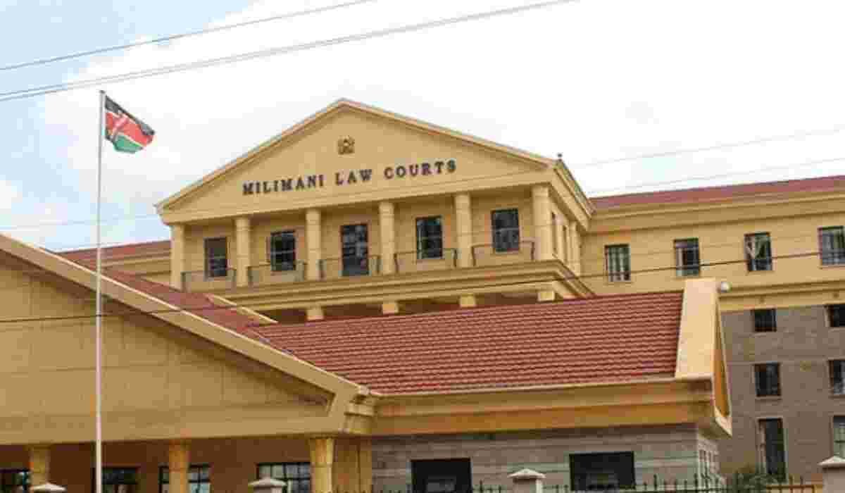 Court Orders Wig Company to Pay Kenyan Model for Image Misuse