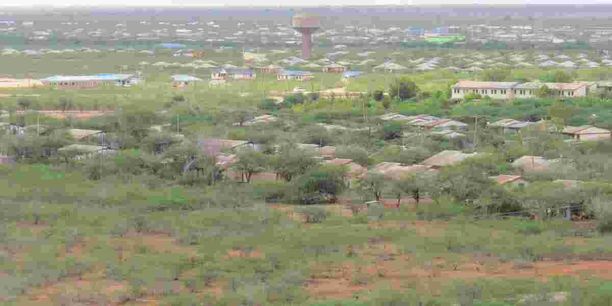 Bura's Ultimatum: Turn In Your Guns Now, or We'll Take Them by Force