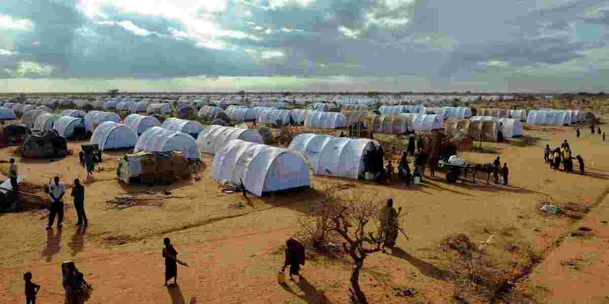 Kenya Sees 334% Jump in Asylum Cases Since 2019