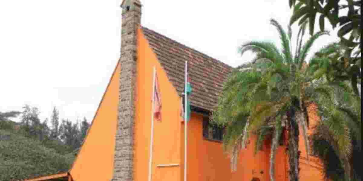 ODM: 7-Year Term Plan Violates Constitution's Core Principles