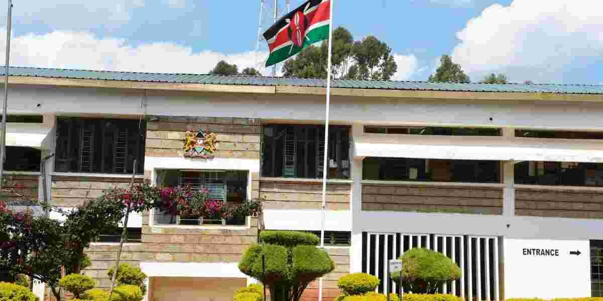 She Was Never My Wife: 30-Year Relationship Disputed in Eldoret Land Case