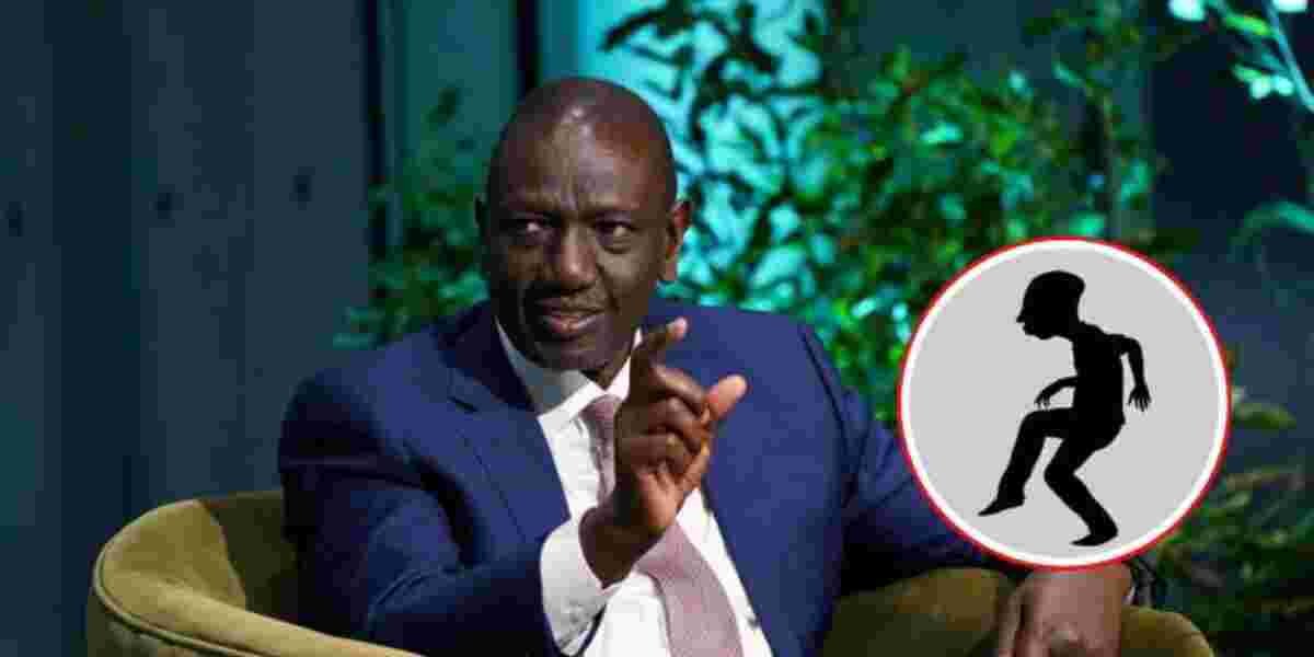 No Arrest Planned for Ruto Silhouette Creator, Says PS Omollo