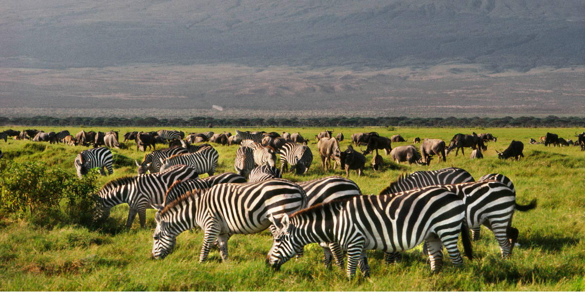 Kenya Sets 7M Tourist Goal by 2027 as France and Spain Already Attract Over 90M Annually