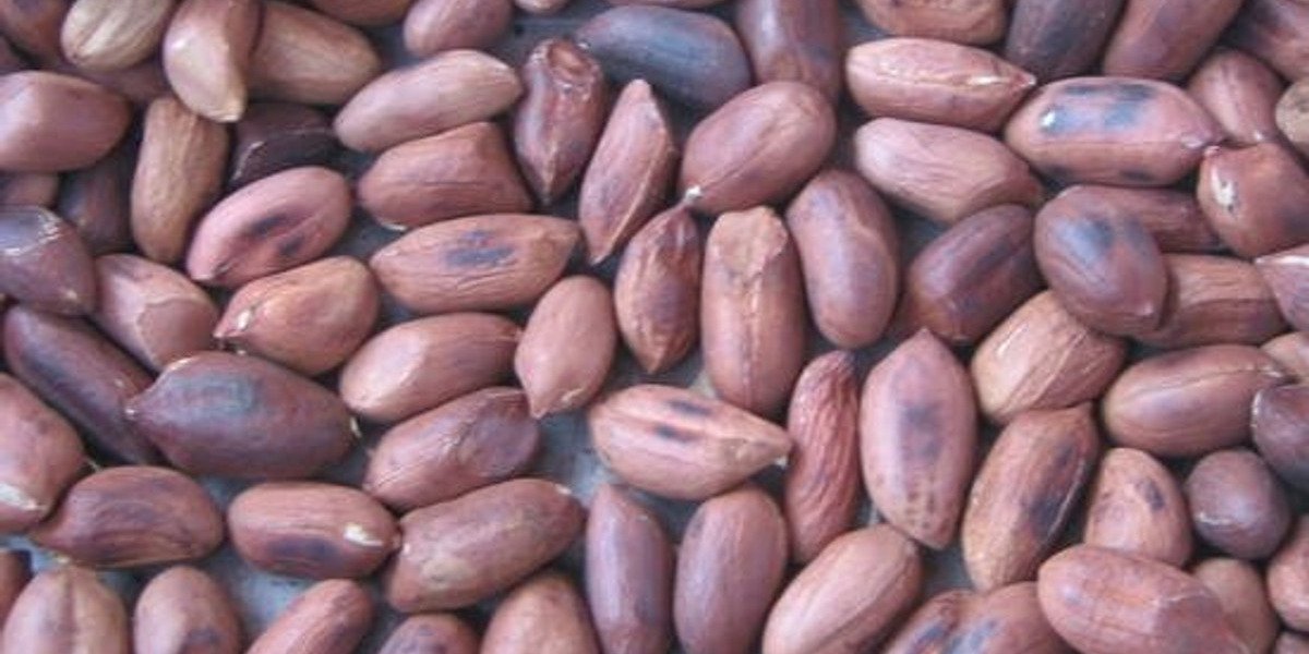 KEBS Cracks Down on Uncertified Goods in Karen, Ngong, and Kiserian