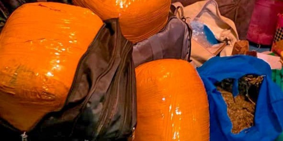 Kibra Drug Bust: Police Nab Four, Recover Suspected Bhang