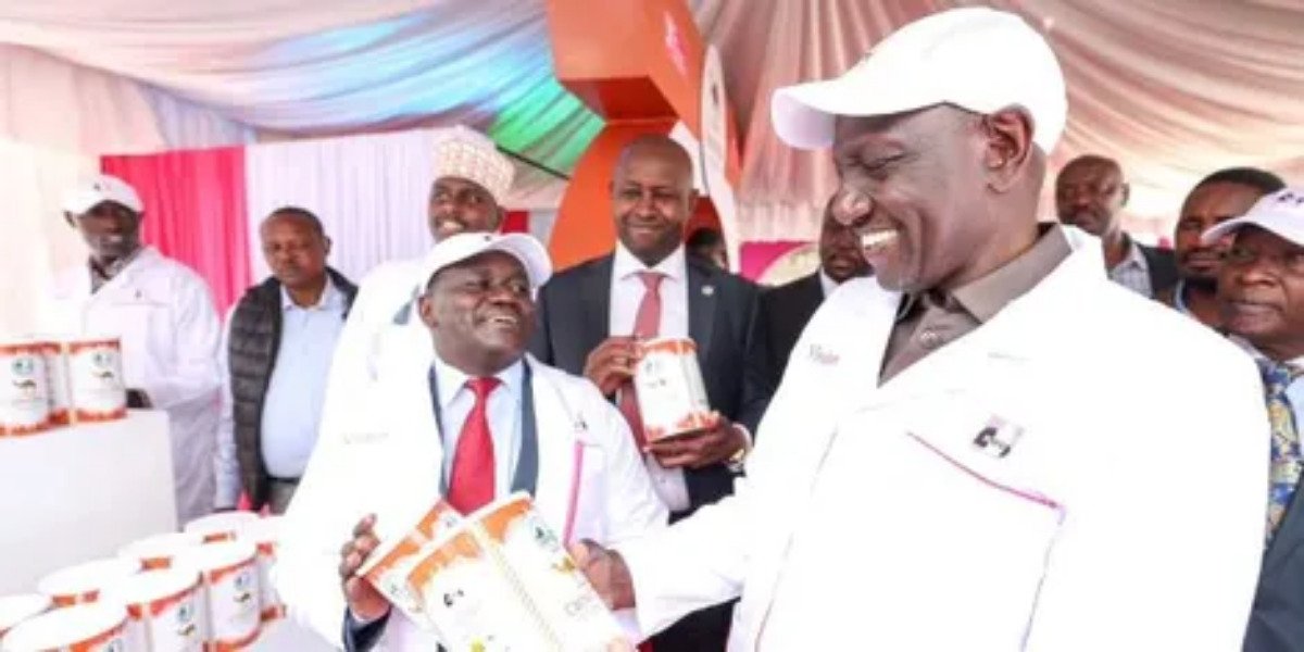 Ruto Unveils Plan to Decentralise New KCC Factories to Lower Milk Price