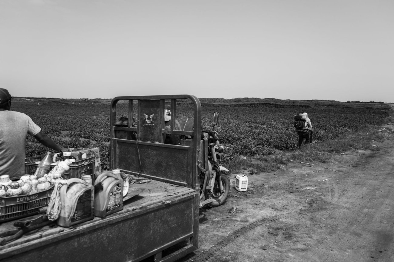 Haitian Migrants Changed This US Town - Trump's Deportation Drive is Reshaping it Again