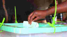 IEBC Postpones Kitutu Chache Parliamentary Election after Death of Jubilee Candidate