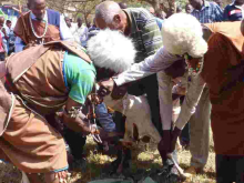 Kikuyu Elders Curse Embakasi East MP Babu Owino Over Slur Directed at President Uhuru