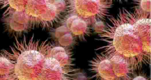 Man Contracts 'World Worst' Super-Gonorrhea 