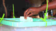 IEBC Mulls Online Voting for Kenyans in the Diaspora