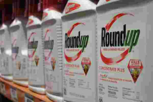 US Court Ruling on Roundup Weed Killer Sends Jitters in Kenya