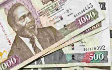 Central Bank of Kenya Accused of Overvaluing Kenya Shilling by 30 Percent