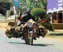 Mishandling Chickens will Land You in Jail, DCI Warns Kenyans