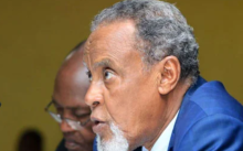 Kenyan Diaspora Makes Radical Proposals to BBI Taskforce