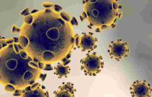 8 Kenyans Test Positive for Covid-19, Tally Rises to 363