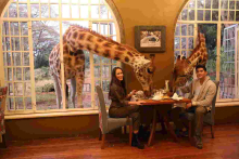 Nairobi-Based Luxury Hotel Giraffe Manor Under Fire over Racism Claims