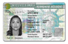 Trump Administration Hikes Green Card, Citizenship Application Fees