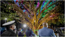 Uhuru Unveils Declaration for Preservation of the Iconic Fig Tree in Westlands, Nairobi 