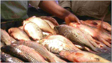 Government Bans Consumption of Fish from Lake Nakuru