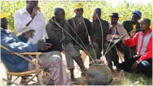 Busaa is Not Illicit Liquor, Nairobi Court Rules 