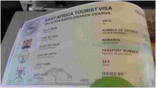 Government Warns of Cybercriminals Targeting Visitors to Kenya in e-Visa Scam 