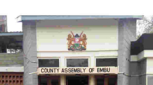 Embu MCAs Fly to Tanzania to Learn Etiquette and Campaign Language