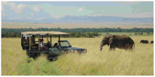 US, Uganda and UK Lead Kenya Tourist Arrivals 