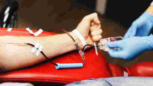 Germany to Lift Restrictions on Gay Blood Donors
