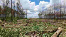 Police Probe Invasion of Kenyatta Family’s Ruiru Farm by Goons 