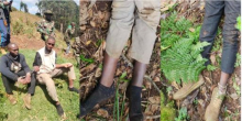 IPOA Probes Controversial Shooting of Two Suspected Bank Robbers in Murang'a