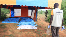 Shakahola Massacre: Bodies of Eight Children Exhumed, Death Toll Hits 98
