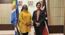 Senator Gloria Orwoba Pushes for Diaspora Participation in Ending Period Shaming 