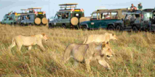 Kenya Ranked Among Top Destinations Worldwide by UK Citizens