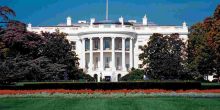 White House Extends Ceremonial Invitation to Kenyan Diaspora for Ruto's Arrival