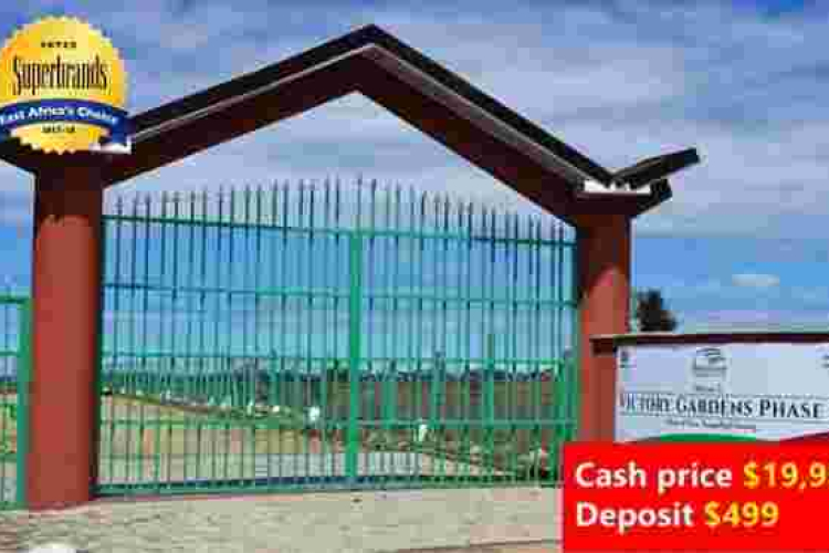 Optiven Real Estate on a Month-Long Tour of the USA: Meet with them for Investment Opportunities Back Home