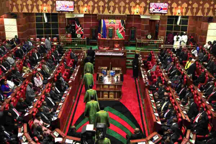 Kenyan MPs Raise Storm over Mysterious Woman Who Keeps Sending Nude Photos of Herself to their Phones
