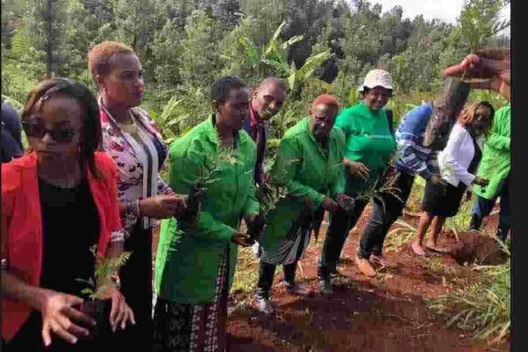 Kenyans Online Roast Murang'a Woman Rep Sabina Chege over Her 'Ask your Mother' Response to a Twitter User