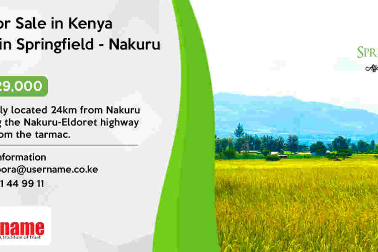 Affordable Investment Opportunity at Springfield - Nakuru