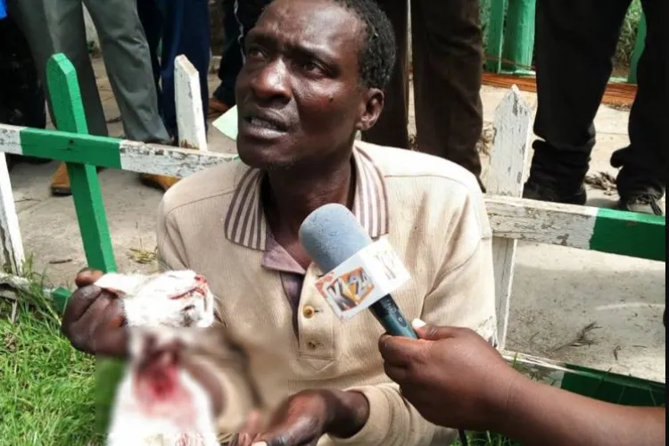 Kenyan Man Admits to Skinning 1,000 Cats, Selling Meat
